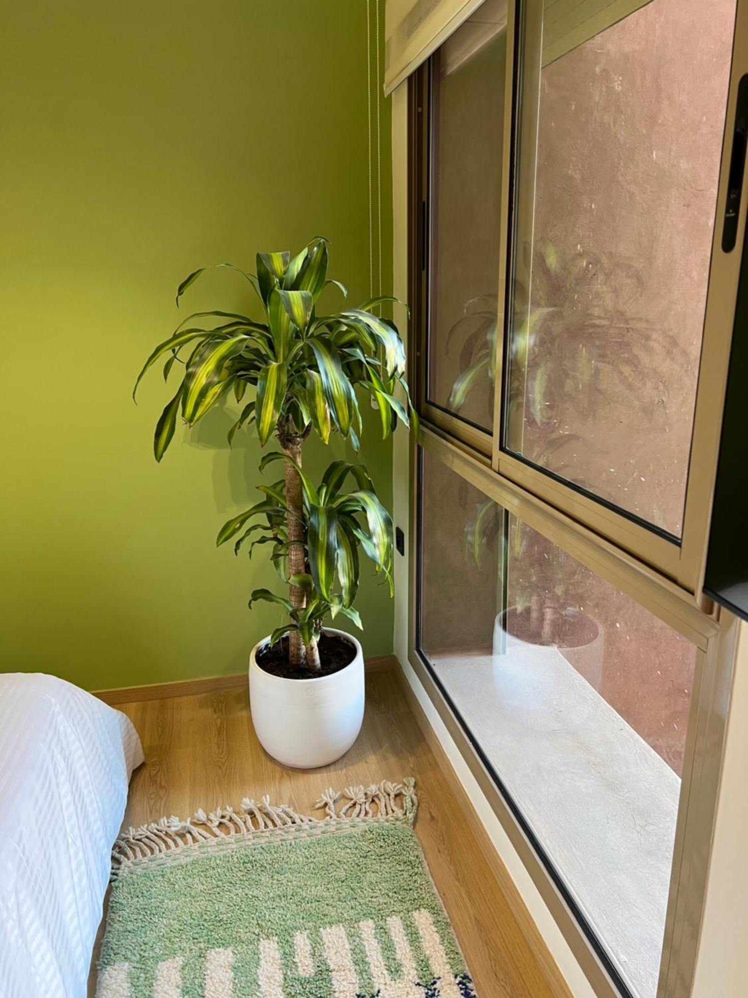 Luxe Appartement A Louer Pour Les Familles Marrakesh Eksteriør bilde